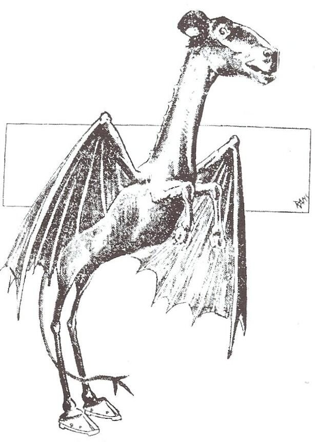 Newspaper line drawing of a winged, hoofed, horse-headed creature standing upright, captioned as the Jersey Devil