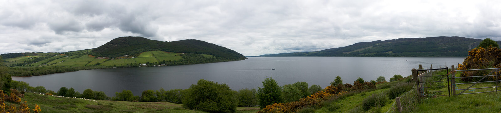 Wide panoramic view along Loch Ness from a hillside, steep forested slopes falling to dark open water under cloud