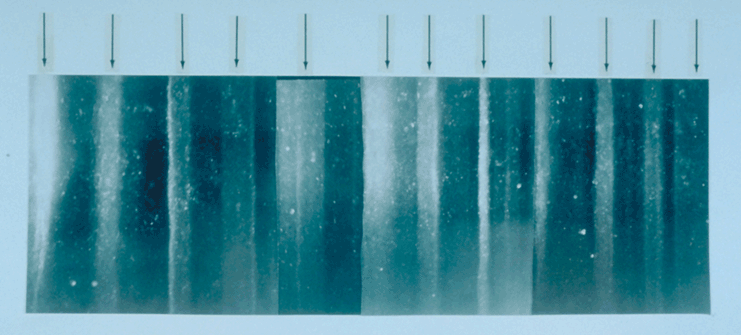 A 19 cm segment of the GISP2 Greenland ice core, backlit to show alternating light summer and dark winter annual layers.
